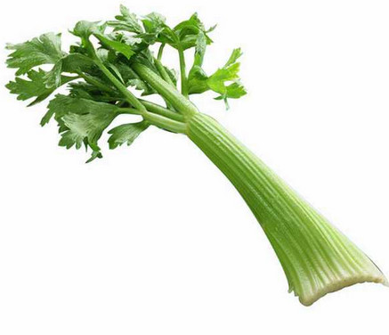 芹菜